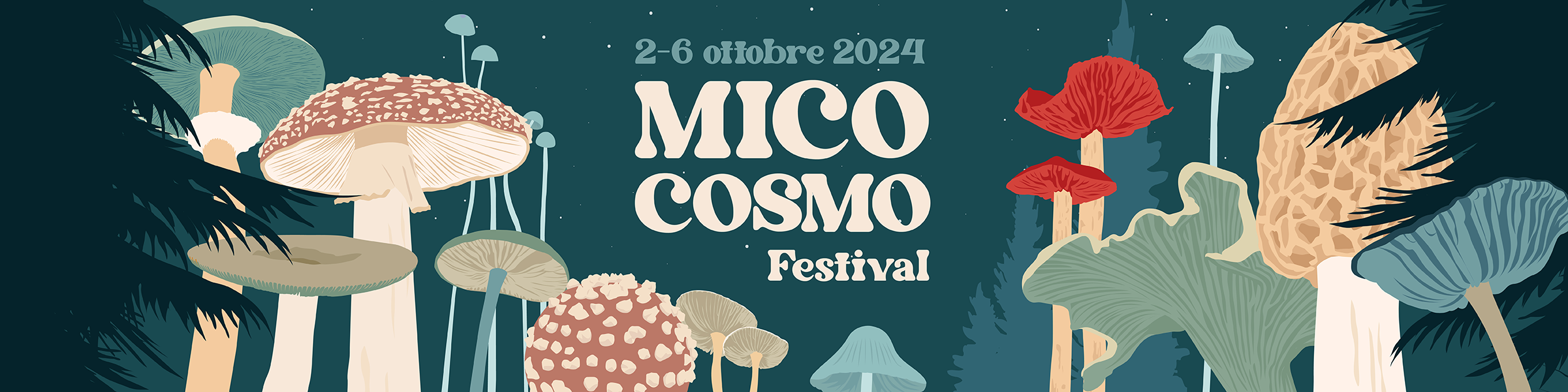 Mico Cosmo Festival