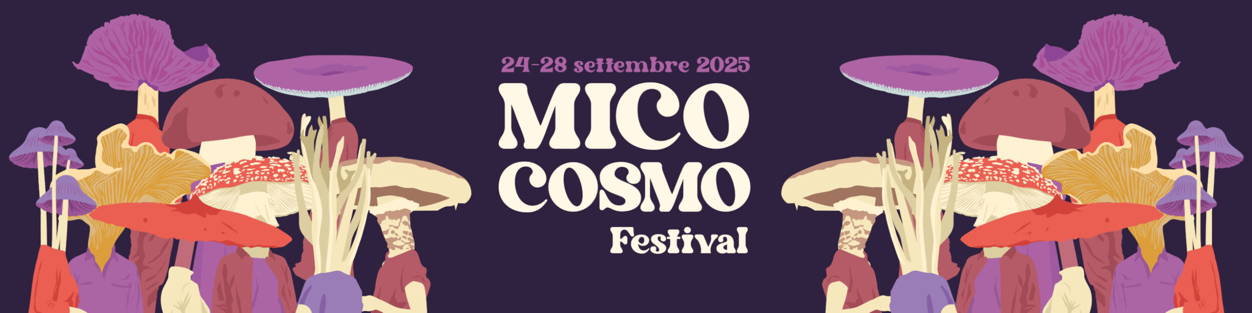 Mico Cosmo Festival