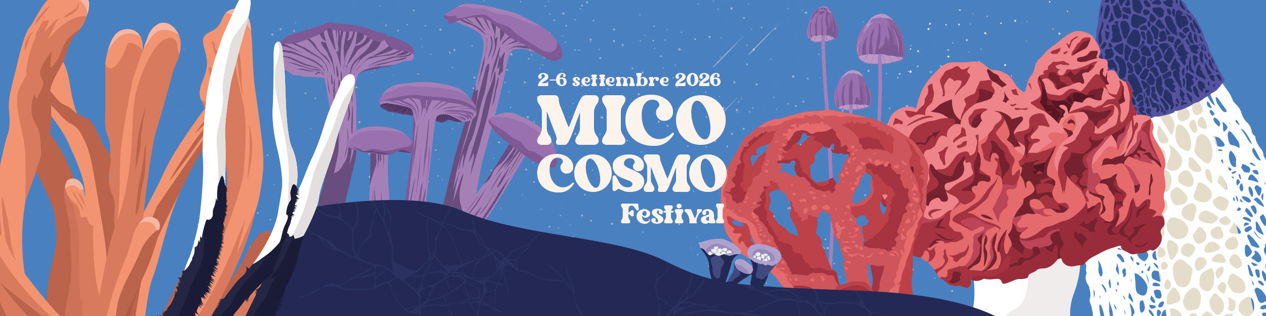 Mico Cosmo Festival